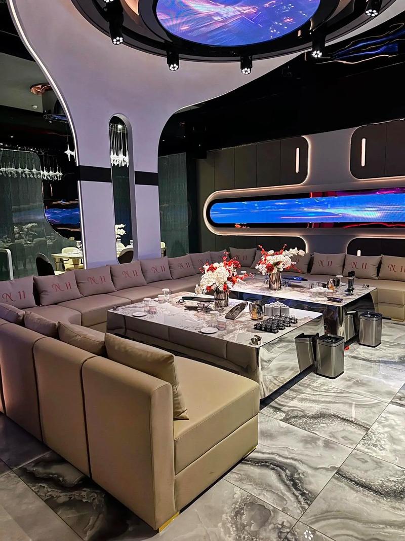 南阳商务ktv精彩体验-桐柏县ktv预定